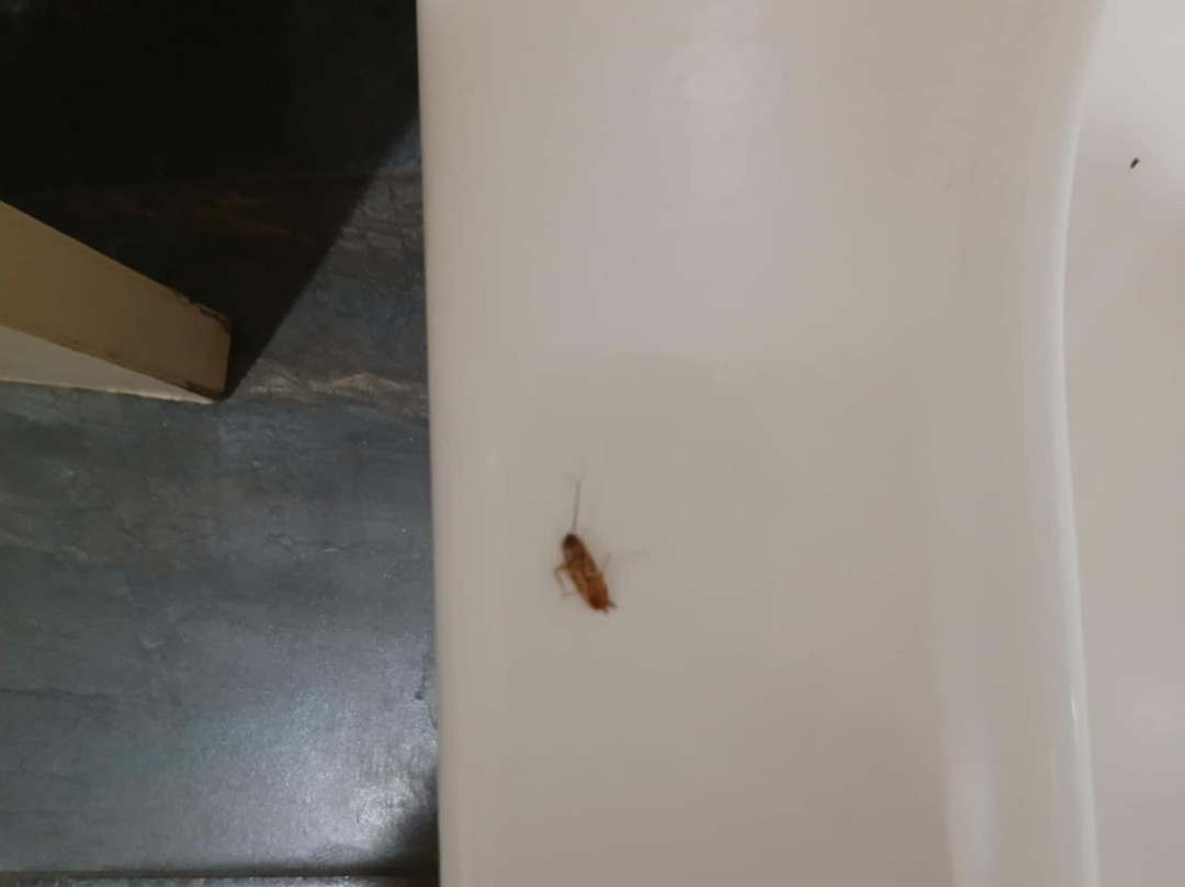 Rodeway Inn & Suites主图