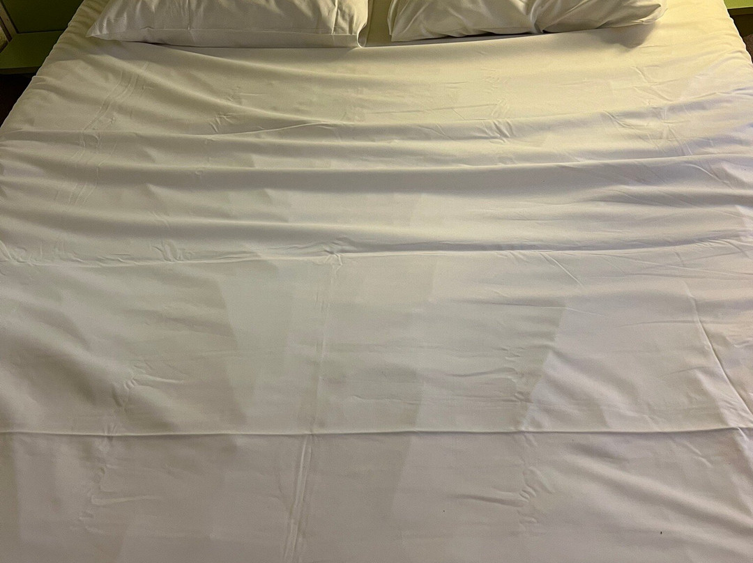 Ibis Budget Versailles Château Saint Cyr主图