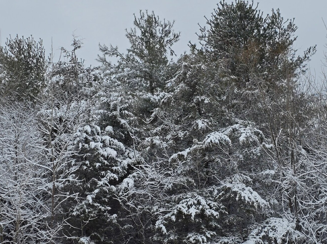 Crains Run Nature Park-Miamisburg必去景点