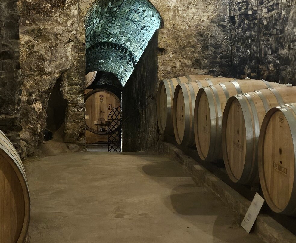 De'Ricci Cantine Storiche-蒙特普尔恰诺必去景点