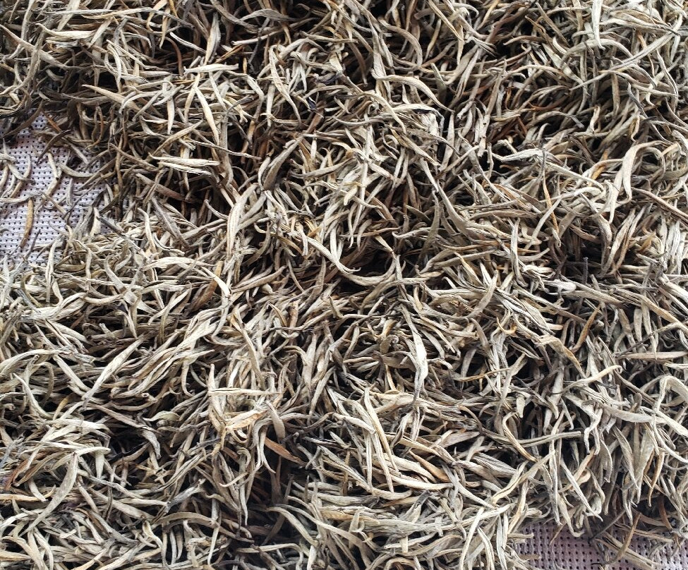 Windy Hill Viewpoint-埃勒必去景点