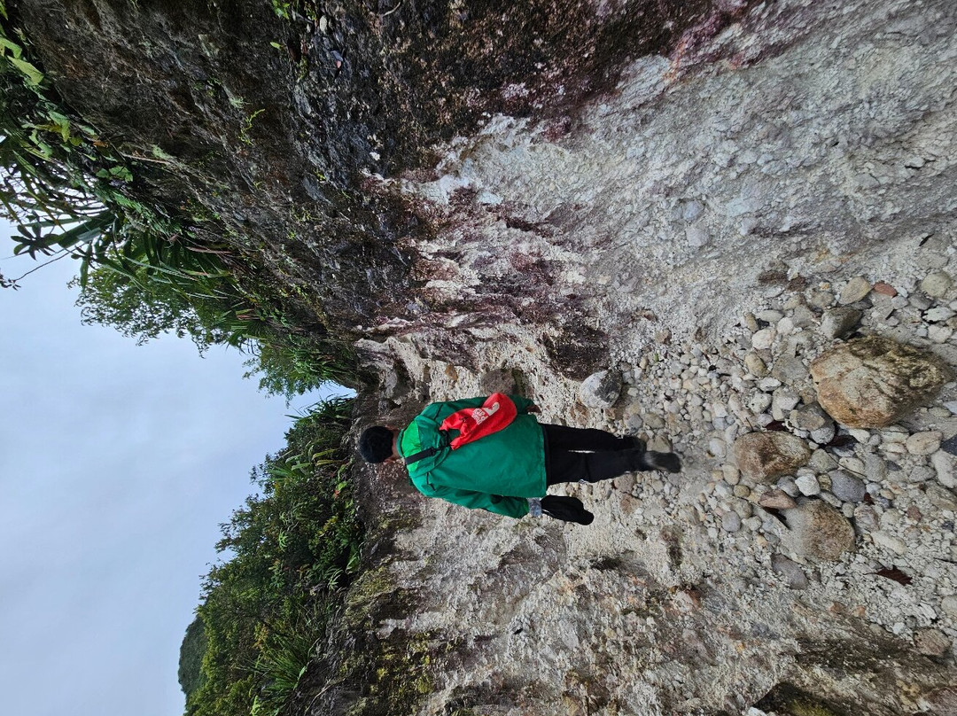 Junglebooked Adventure-棉兰必去景点