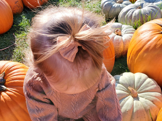 Pickering Hill Farms-Avon必去景点