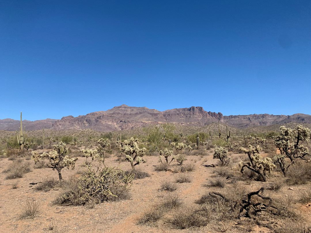 Don Donnelly's D-Spur Ranch and Stables-Gold Canyon必去景点