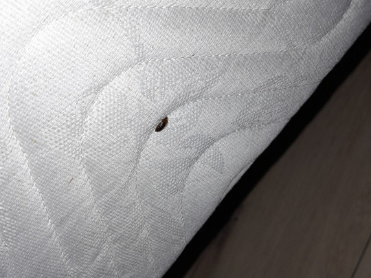 Les Airelles Le Savoie主图