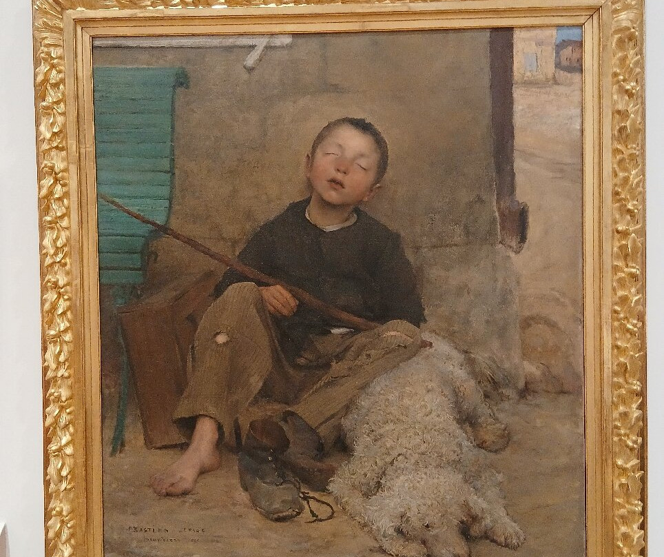 Musée des Beaux-Arts景点图片
