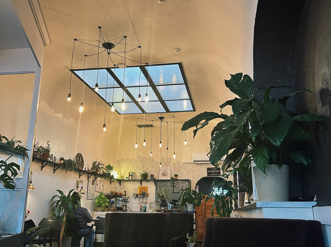 The Verdict Coffee Shop