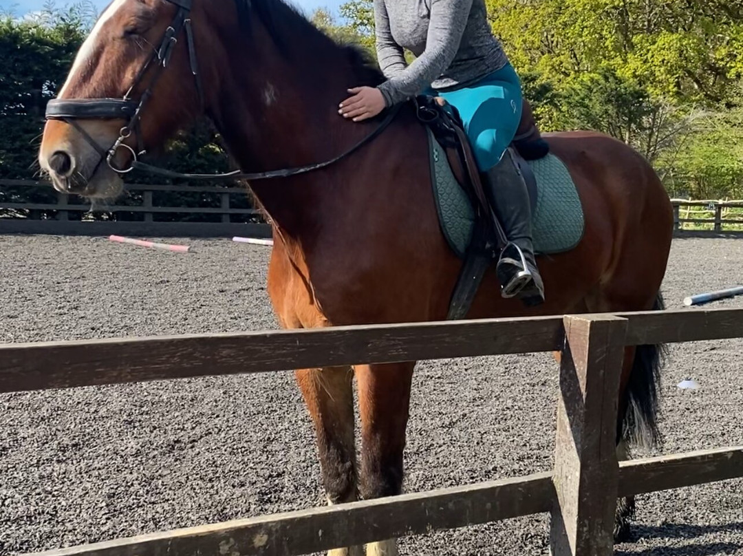 Polegate Equestrian Centre景点图片