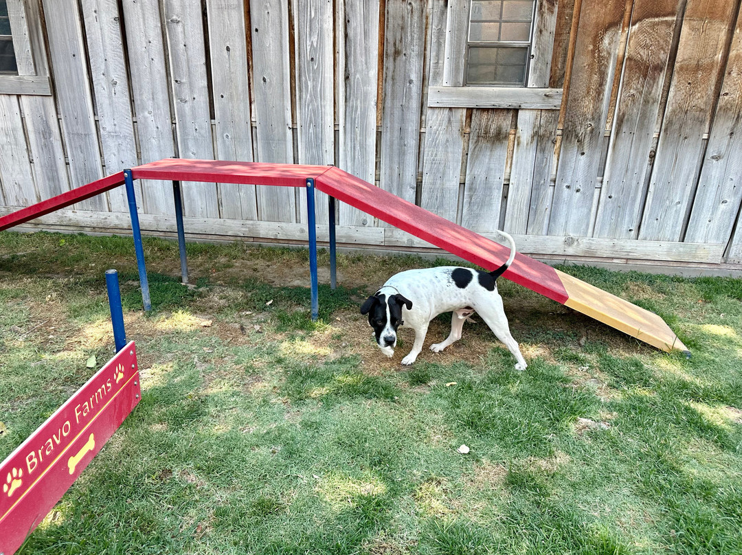 Bravo Farms-Traver必去景点