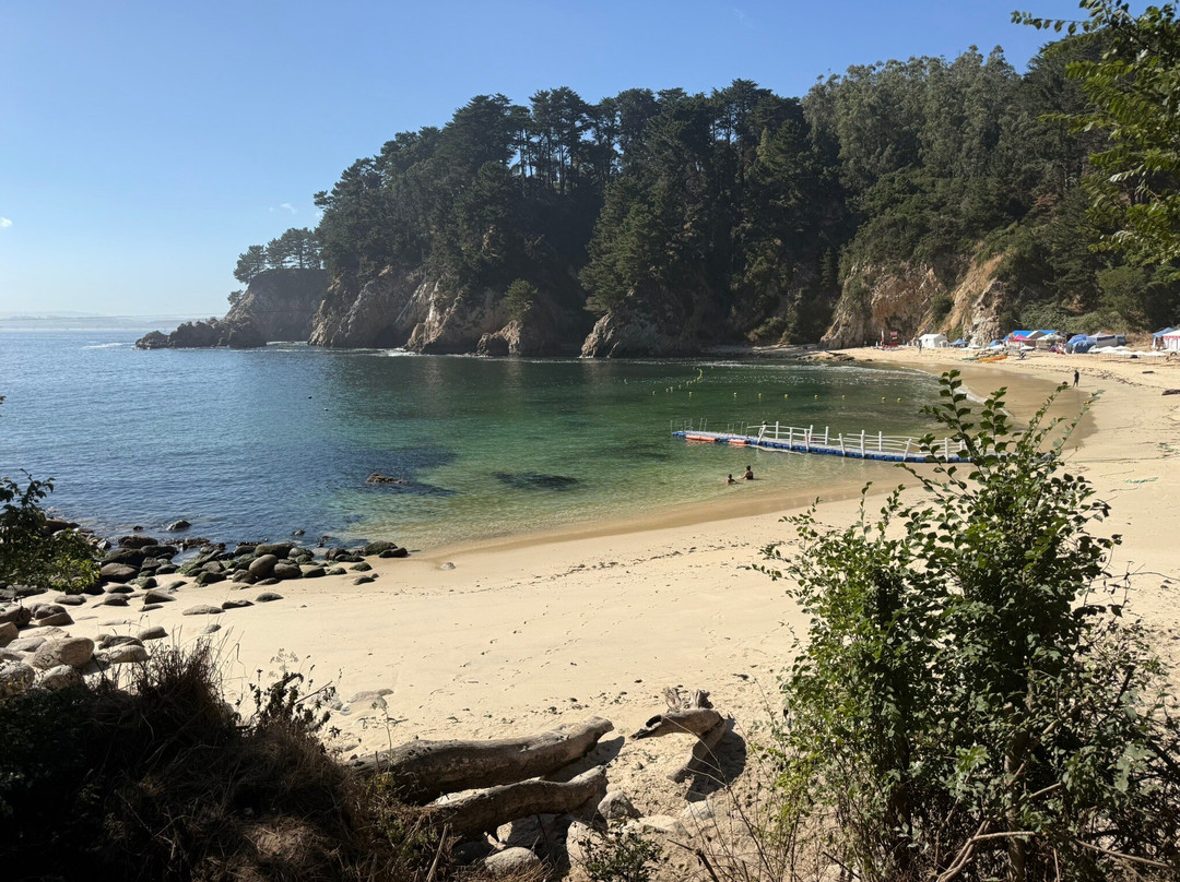 Playa Ramuntcho景点图片