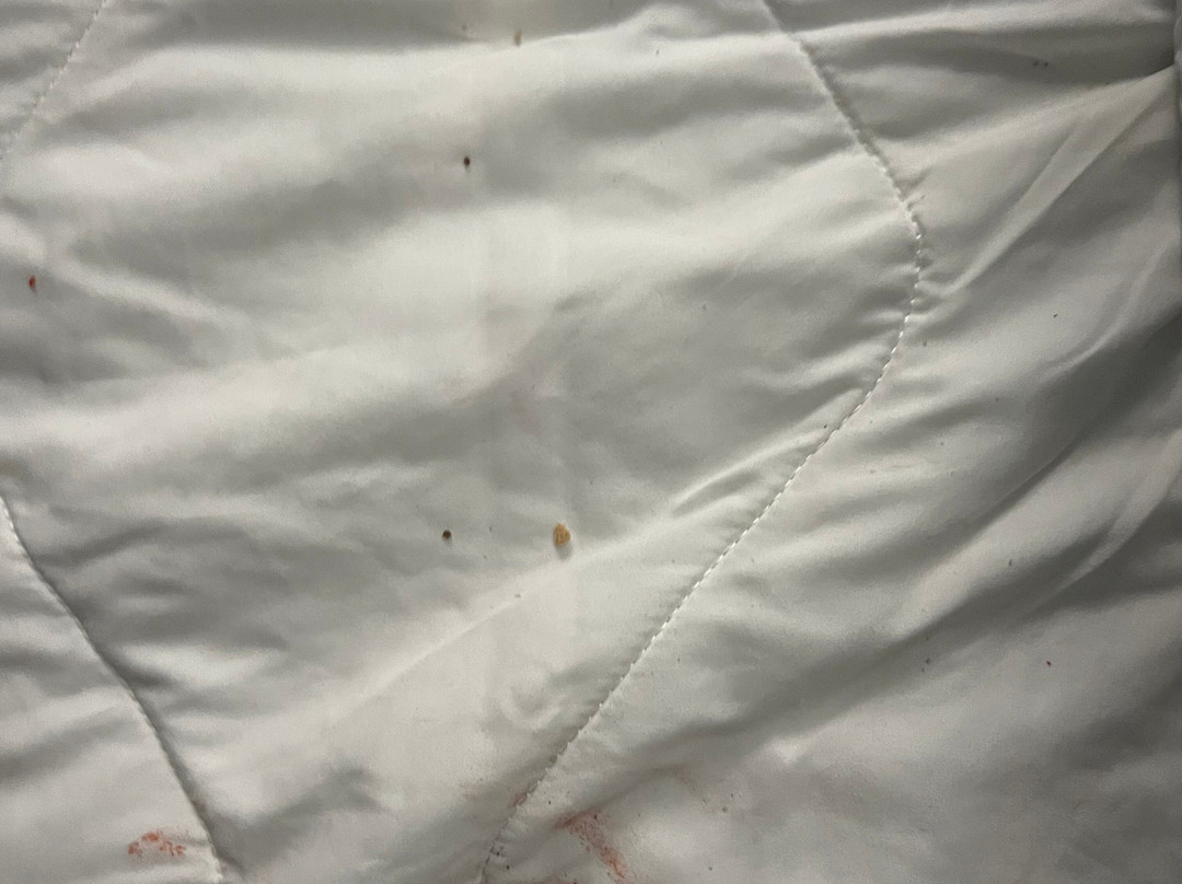 贝斯特韦斯特乡村套房酒店主图