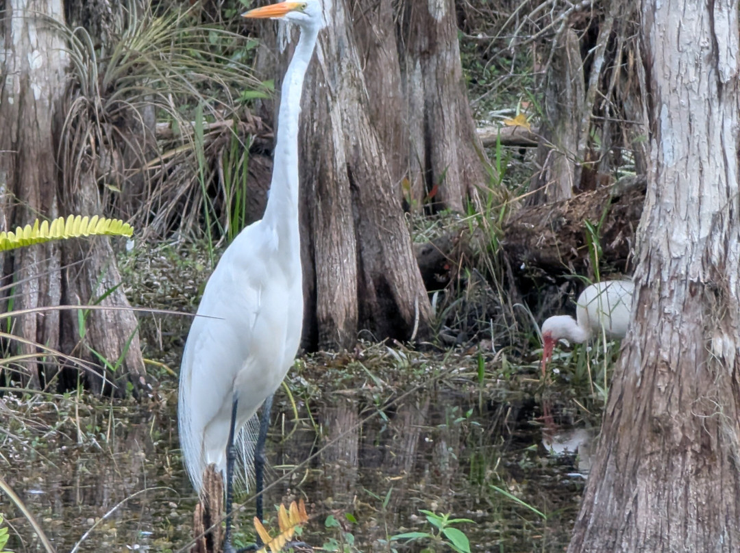 Loop Road-奥乔皮必去景点