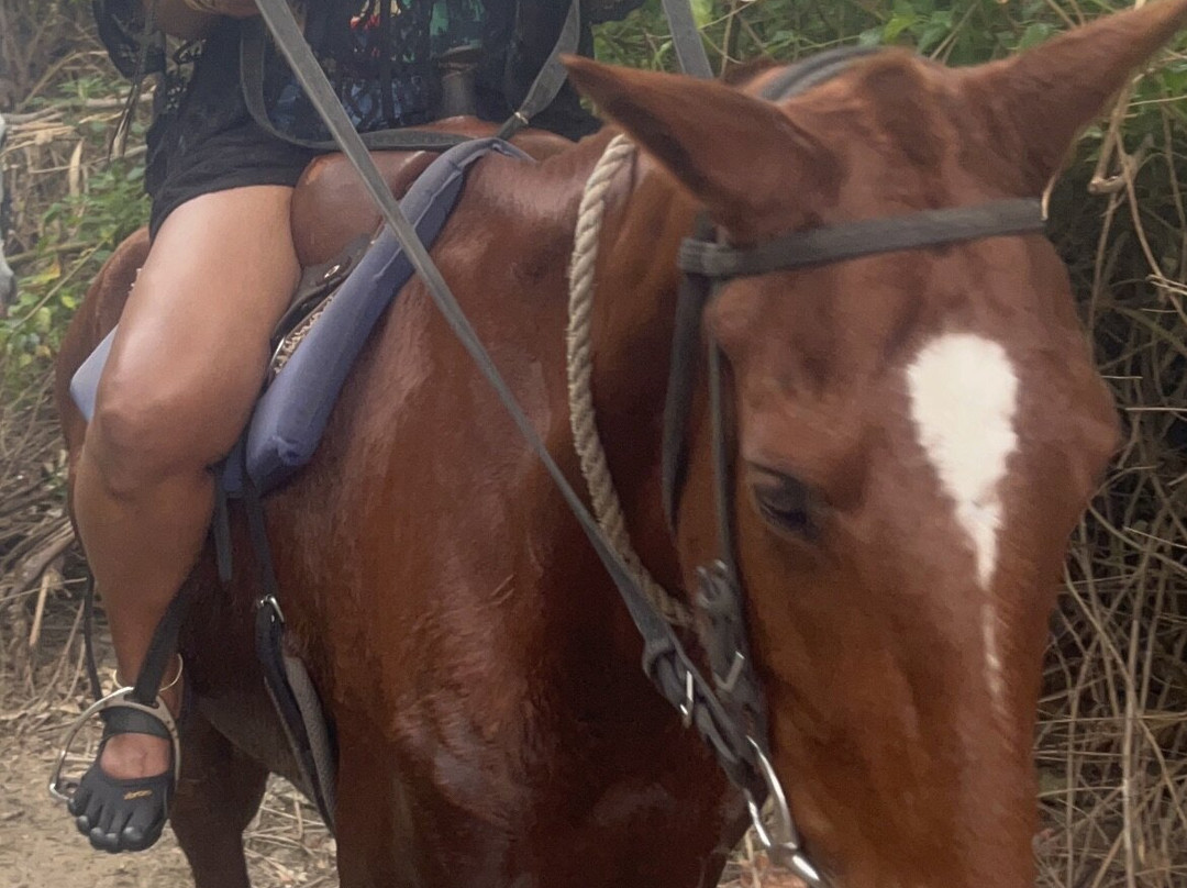 Exquisite Rafting Adventures by Ryno Tours 876-蒙特戈贝必去景点