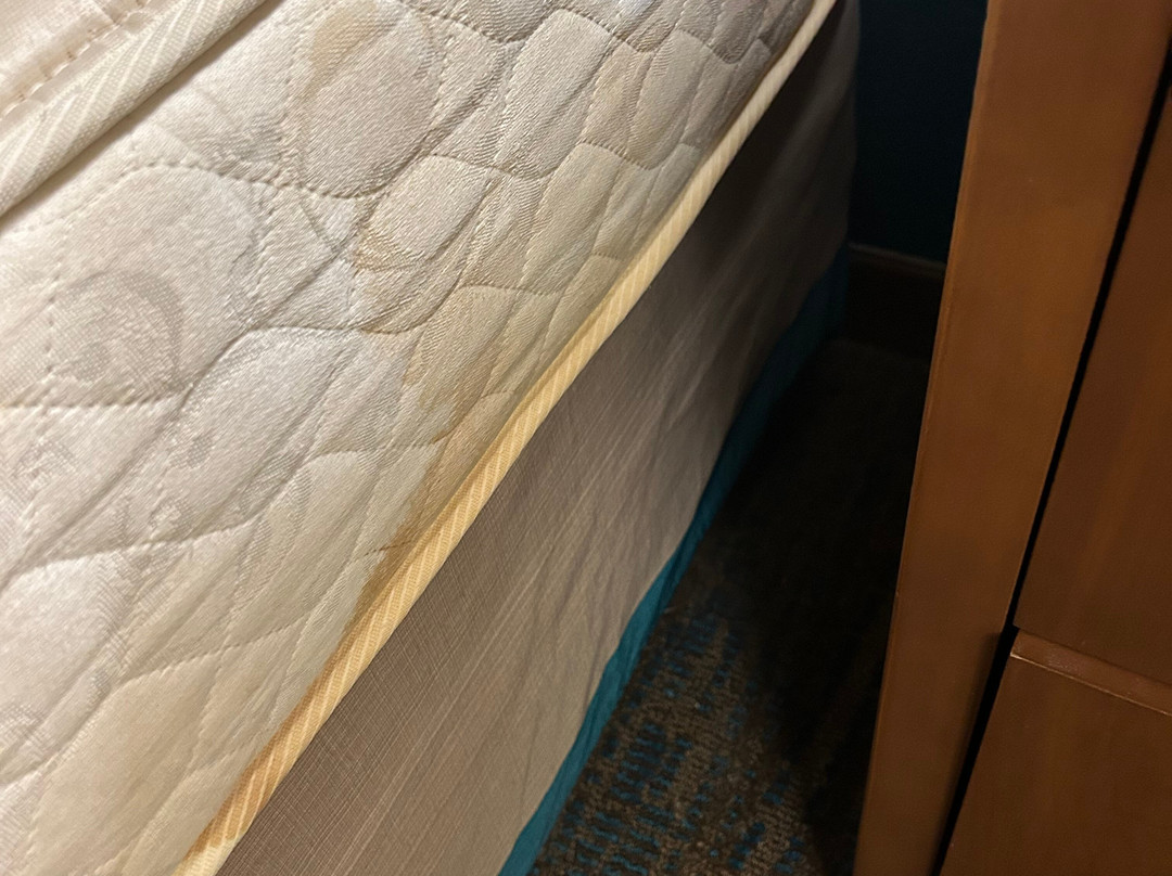 Residence Inn by Marriott Saginaw主图