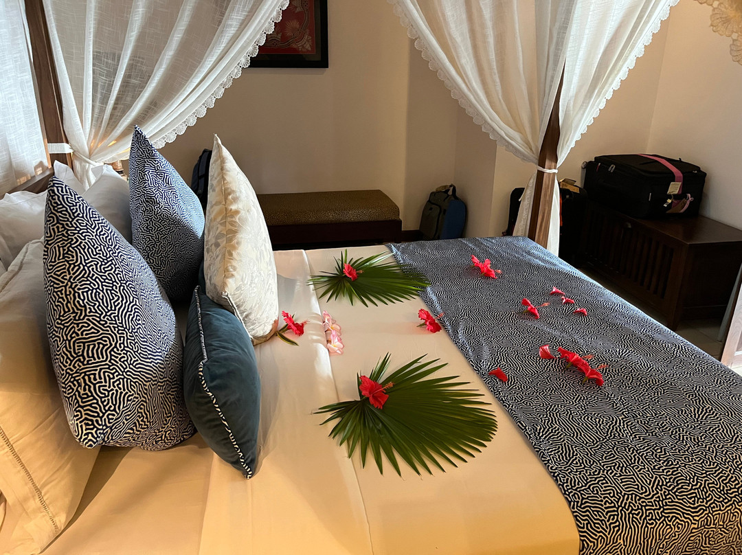 Sundara by Mosvold主图