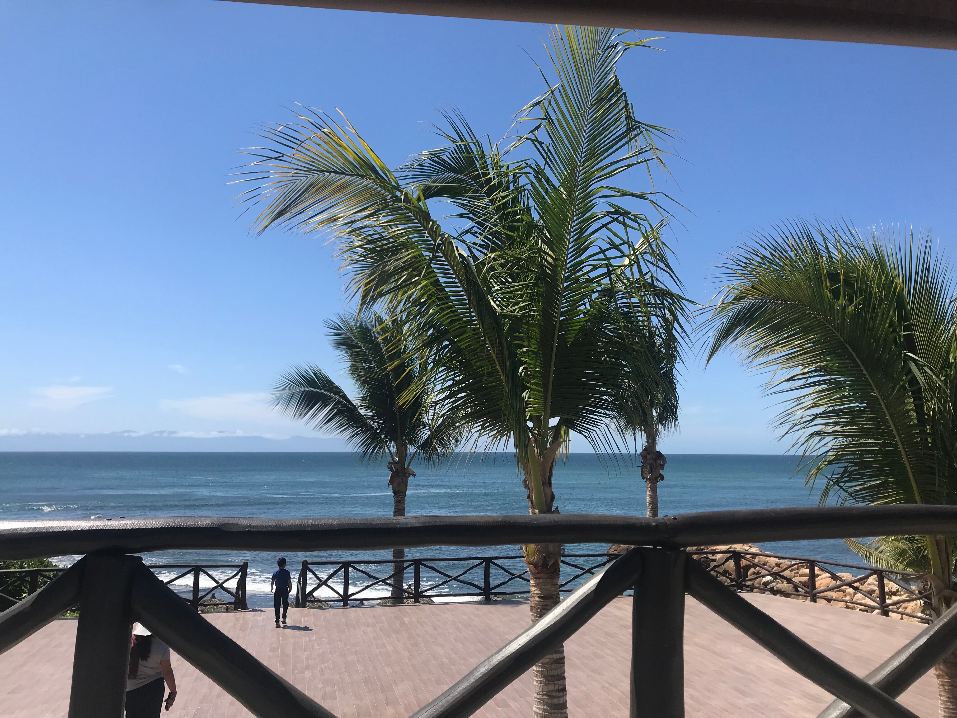 Grand Palladium Vallarta Resort & Spa-泳池