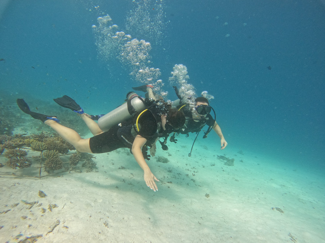 Diving Bluetribe Moofushi景点图片