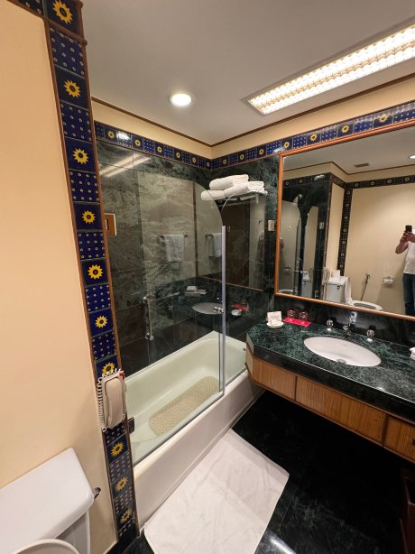 齐普尔三叉戟酒店-浴室