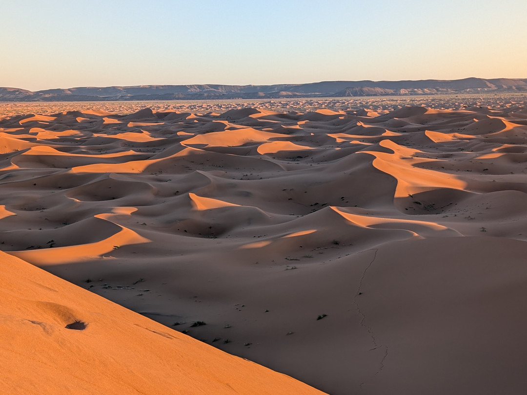 Bivouac  Mélodie du Desert主图