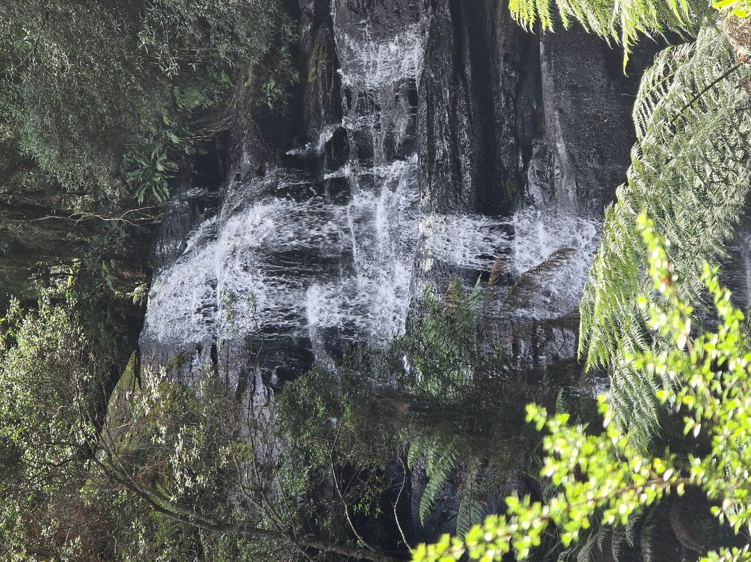 Triplet Falls-Beech Forest必去景点