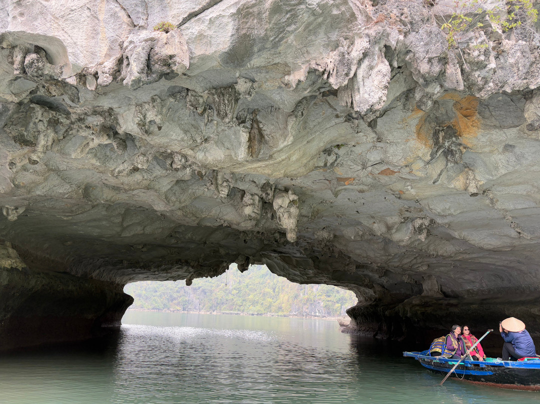 Cua Van Floating Village-下龙湾必去景点