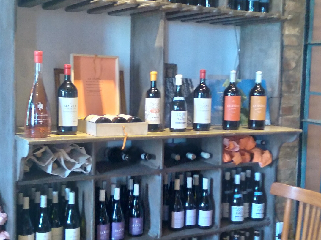 Finca La Anita景点图片
