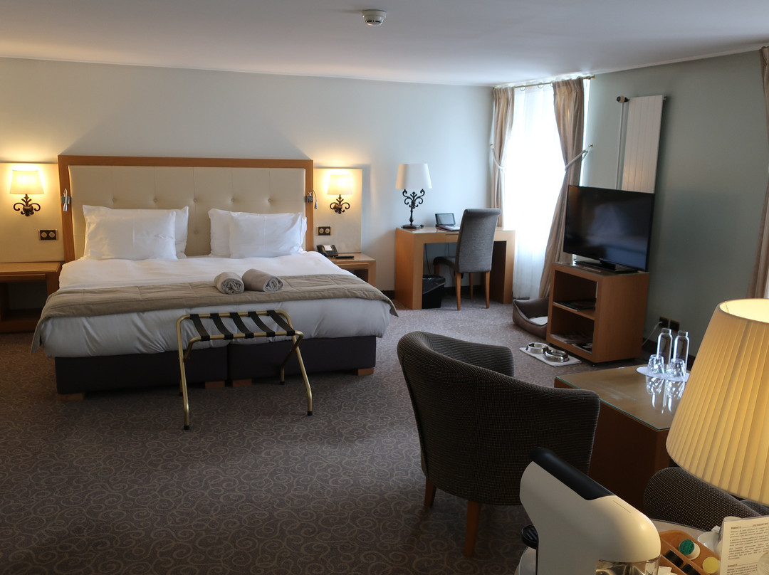 德索尔斯阿尔卑斯酒店主图