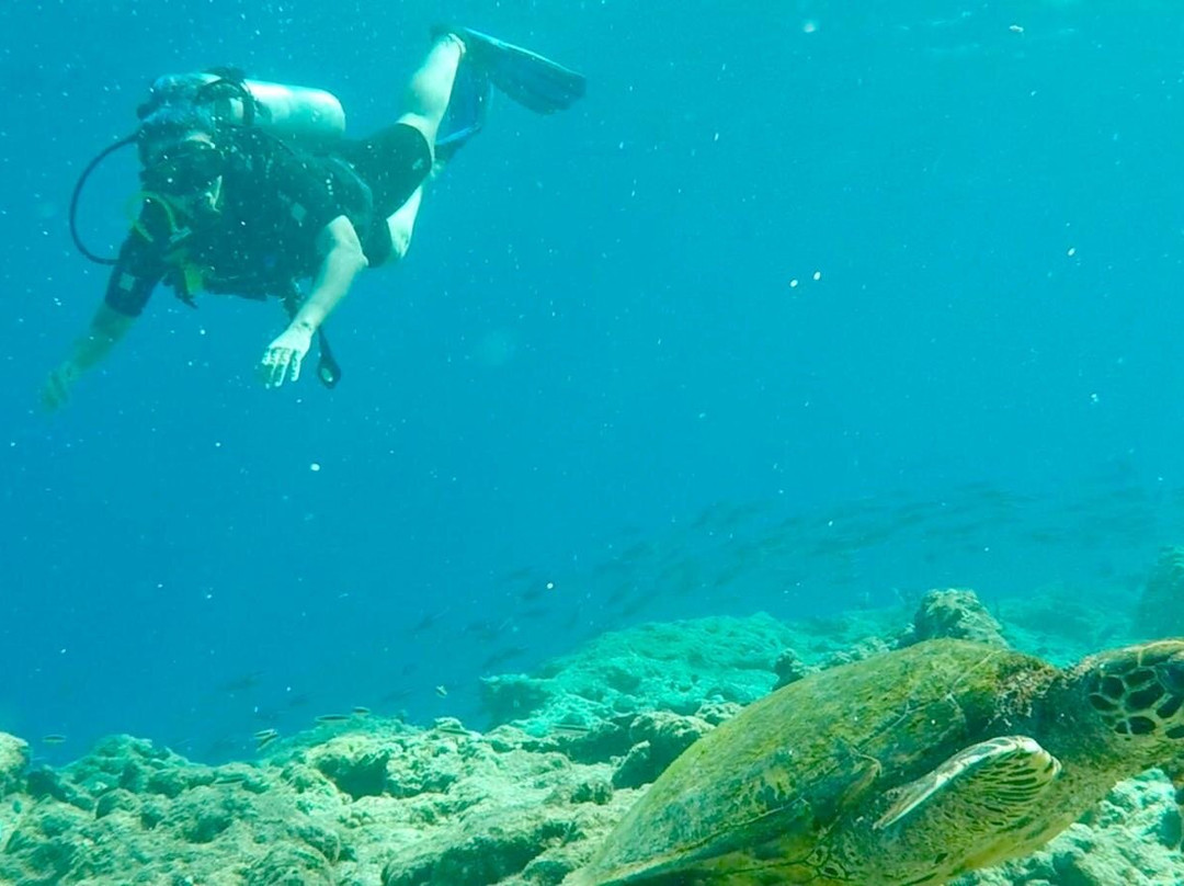 Euro-Divers Kurumba景点图片