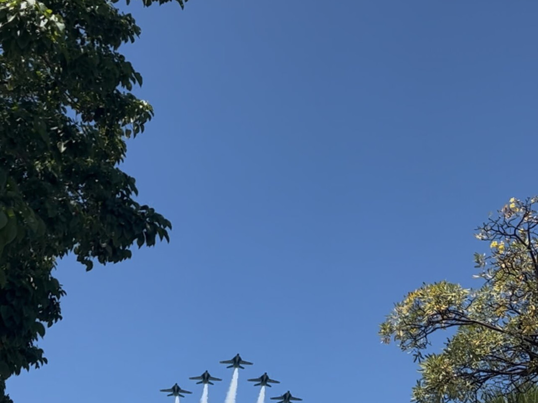 Fun In The Sun Key West-基韦斯特必去景点