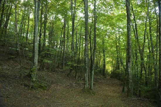 Hotel Rural Campalans主图