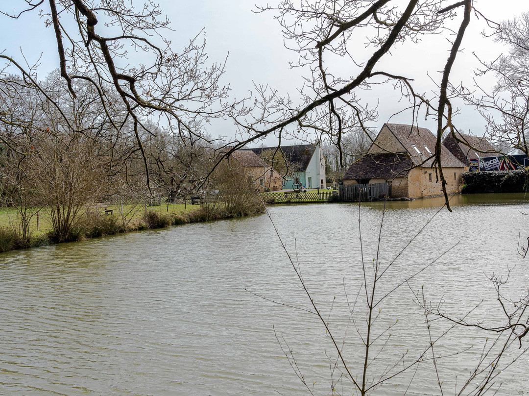 Domaine des Mésangères主图