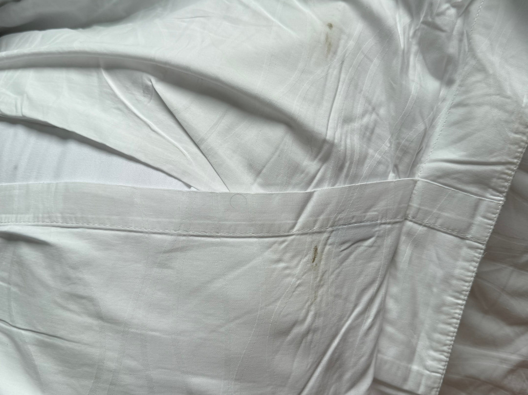 贝尔蒙特马尼拉酒店主图