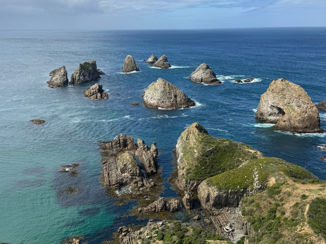 Russian Guides Australia-悉尼必去景点