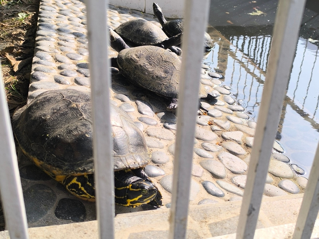 Mirador de Uchupampa主图