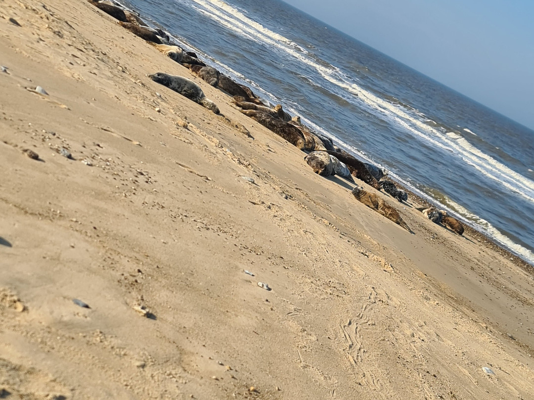 Horsey Beach景点图片