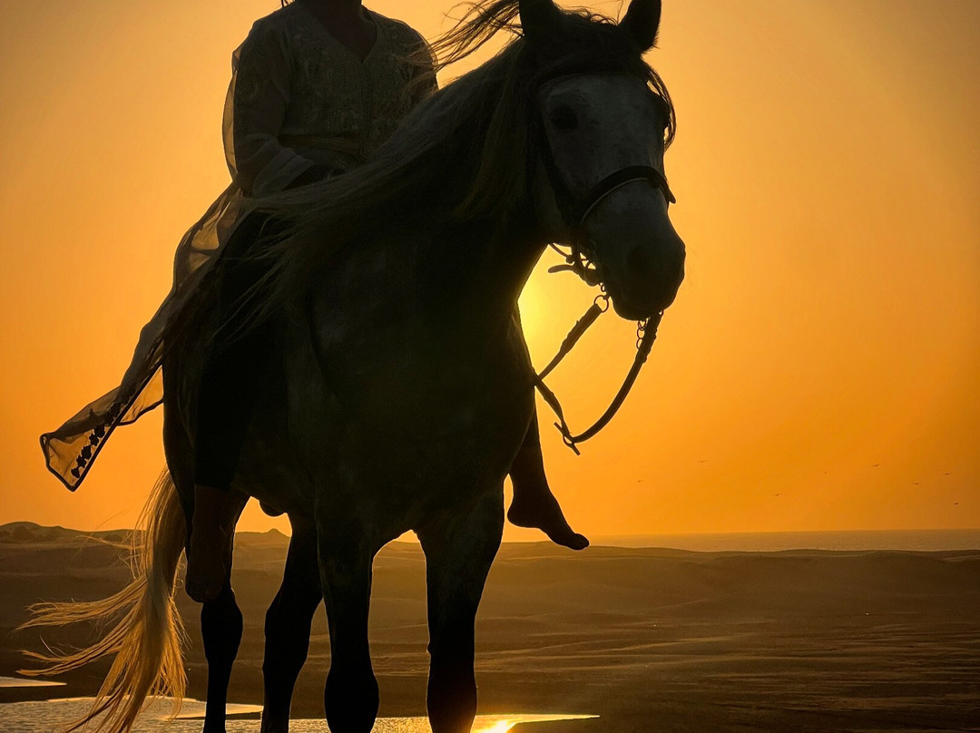 Ocean Ranch Essaouira-索维拉必去景点