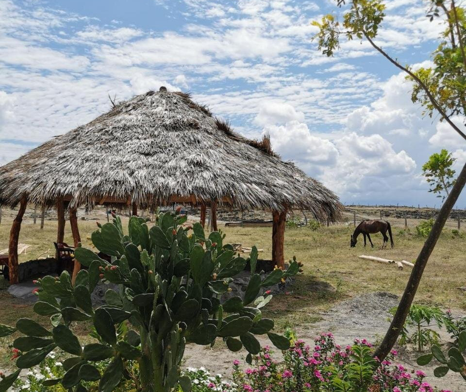 Pachingo Hostal Camping