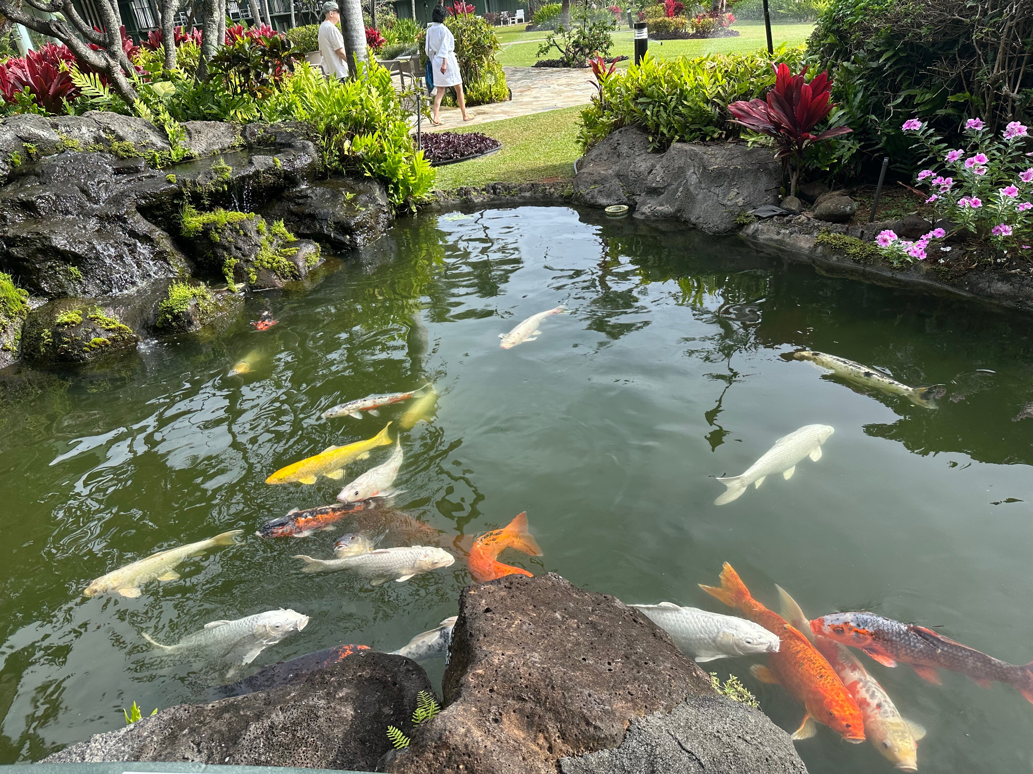 考艾岛海滩度假村-浴室