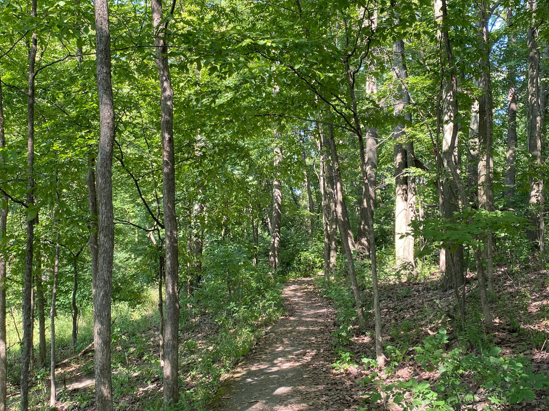 Old Woman Creek State Nature Preserve-Huron必去景点