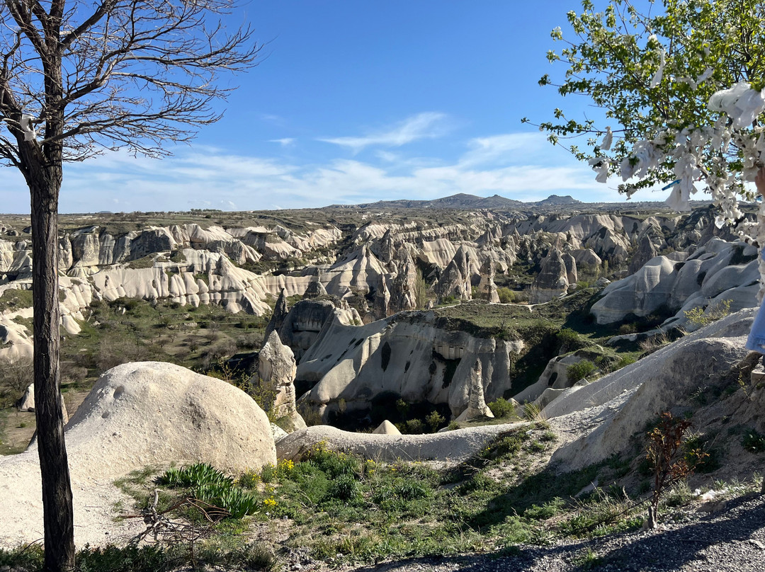 Rock And Stone Travel景点图片