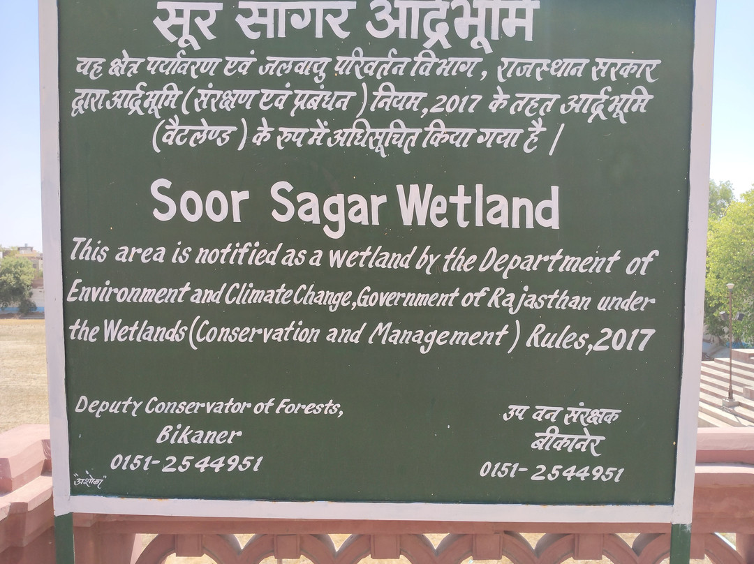 Sursagar Lake-碧卡内必去景点