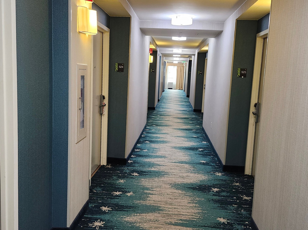 Hilton Garden Inn Ft. Lauderdale SW/Miramar主图