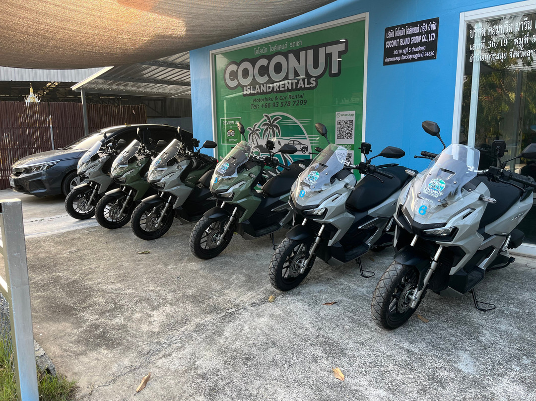 Coconut Island Rentals景点图片