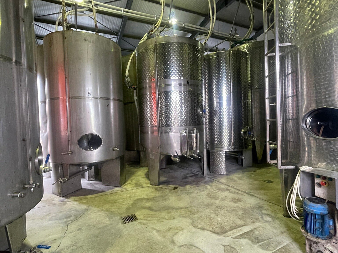 Klados Winery景点图片