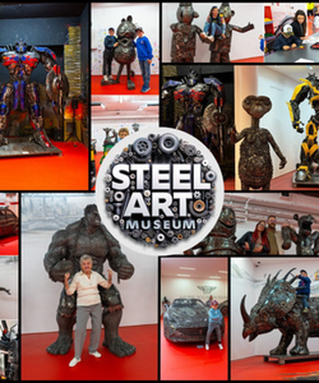 Steel Art Museum Prague景点门票图片