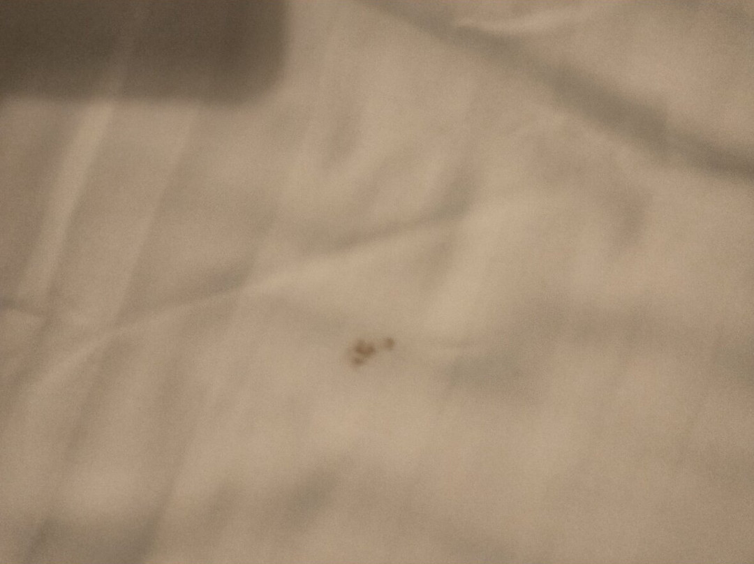 Hotel Borgo Cacciatori主图
