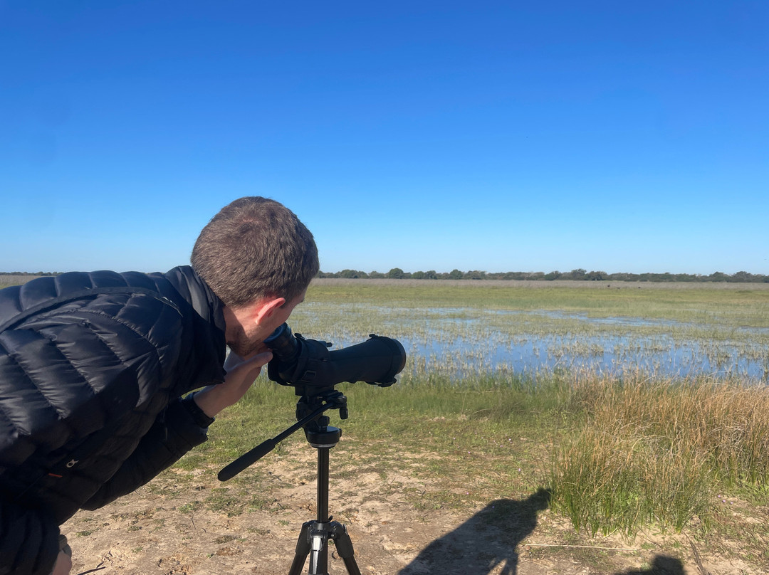 Donana Reservas y Visitas-El Rocio必去景点