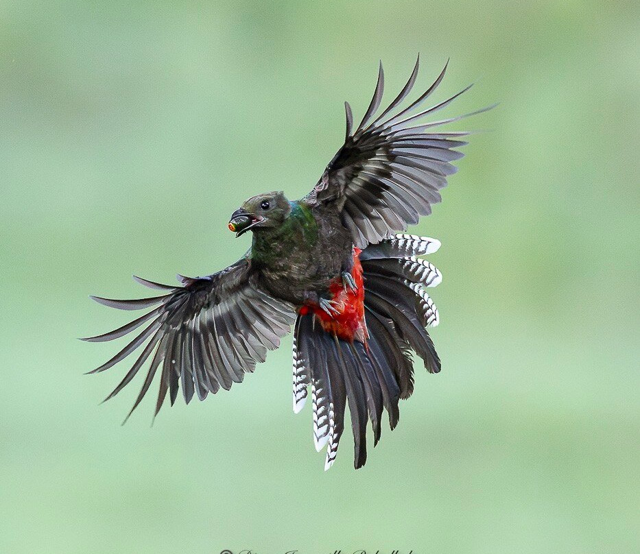 Geo Natura Tours-圣拉蒙必去景点