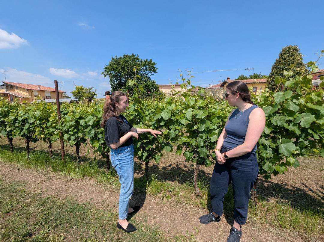 Corte Fornello Winery