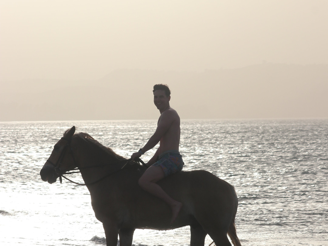 Zoraida's Horse Riding景点图片